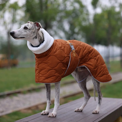 Veste Hiver Imperméable Doublure Épaisse Gros Chien