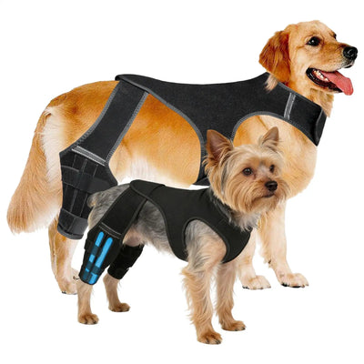 Attelle Chien 4 Stabilisateurs Métalliques Soutien Pattes Arrière