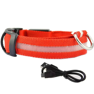 Collier LED Veilleuse Rechargeable pour Chien