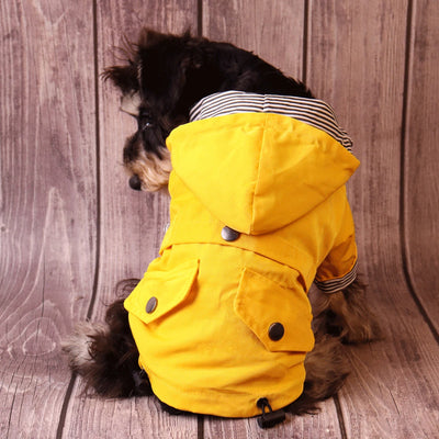 Manteau Imperméable Jaune à Capuche Coupe-Vent pour Chien