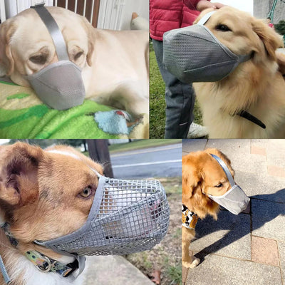 Muselière Chien Maille Souple Anti-Ramassage Labrador