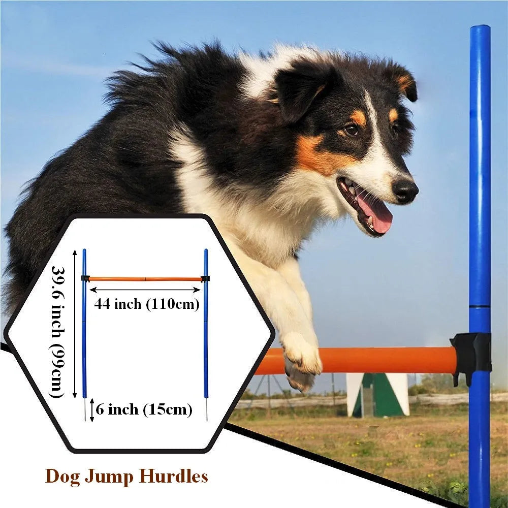 Haie d'Agility pour Chien Barre de Saut 110 cm Démontable