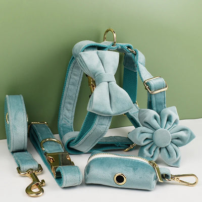 Collier et Laisse Velours Vert Plaque Gravée Chien