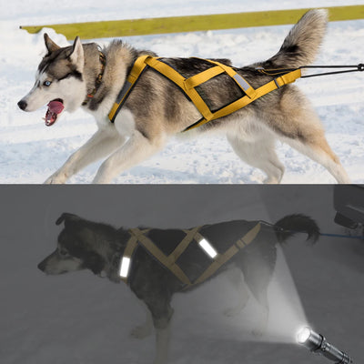 Harnais de Traction Canicross Réfléchissant Husky et Grand Chien