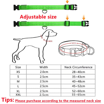 Collier Lumineux LED Rechargeable USB Nylon Grand Chien