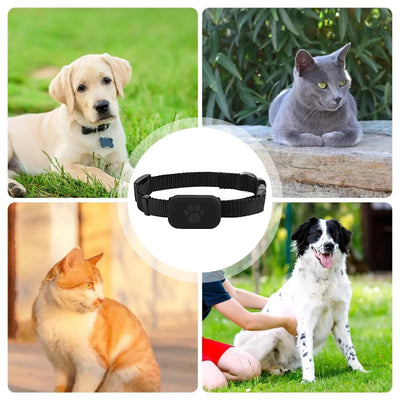 https://cdn.shopify.com/s/files/1/0489/2898/1148/files/Sdf2525c9ba1b420284bece0de2278946I.webp?v=1755344099
