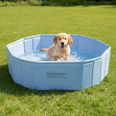 Piscine pour Chien Pliable Haute 70 x 47 x 23 cm