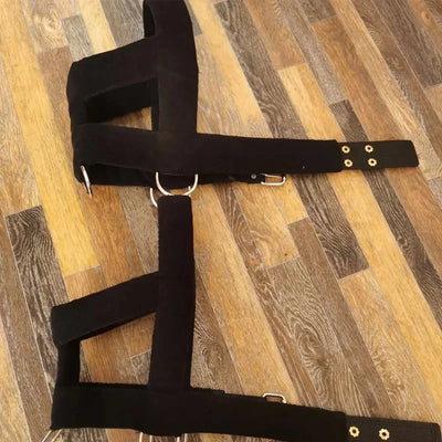 Harnais de Traction Pitbull Plastron Rembourré Corde Élastique