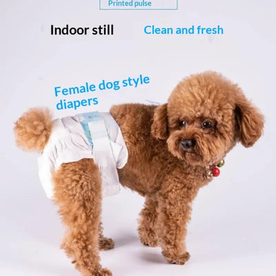 Couche pour Chien Jetable Petit et Moyen Gabarit 10 Pièces