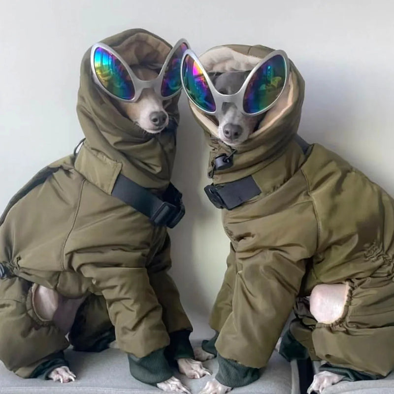 Manteau Hiver Doudoune Gros Chien Whippet Greyhound