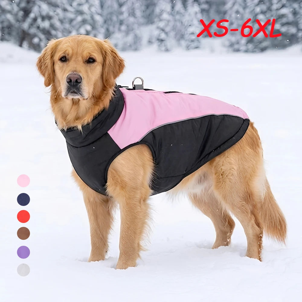 Manteau Chien Coupe-Vent Zippé Double Anneau Golden Retriever