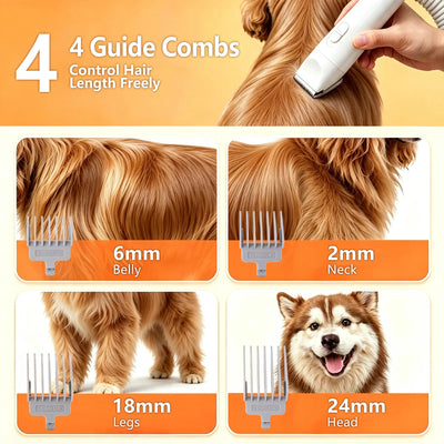 Aspirateur de Toilettage Chien 5 en 1, Bac 2 L