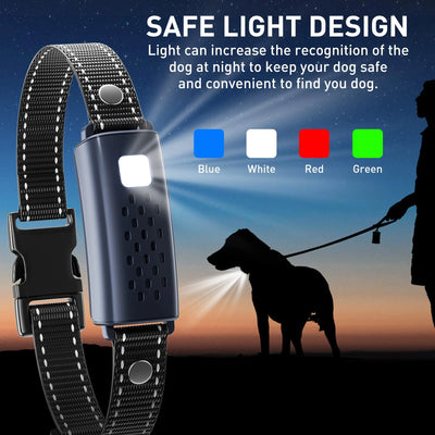 Collier Dressage 1000m 2 Chiens Lampe LED