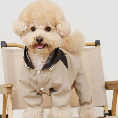 Manteau Imperméable Réfléchissant Haute Visibilité Chien