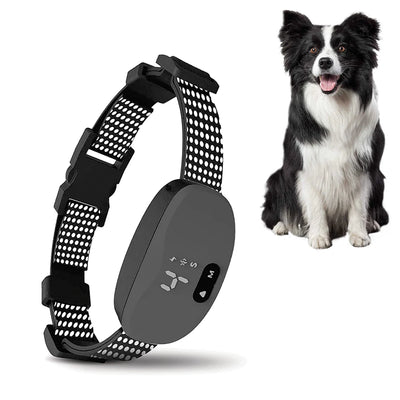 Collier Anti-Aboiement LED Gros Chien Intelligent