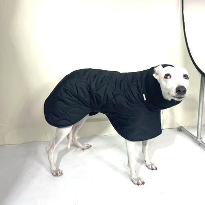 Manteau d'Hiver Noir Col Montant Lévrier Greyhound