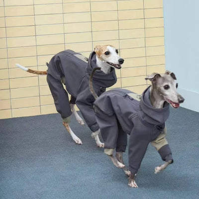 Manteau Intégral 4 Pattes à Capuche Lévrier Whippet