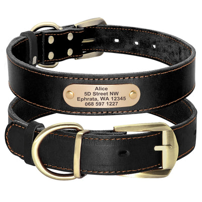 Collier Cuir Plaque d'Identification Gravée Chien Pitbull