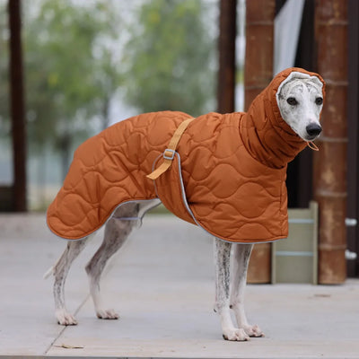 Veste Hiver Imperméable Doublure Épaisse Gros Chien