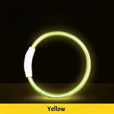 Collier Lumineux LED Étanche 3 Modes Rechargeable Chien