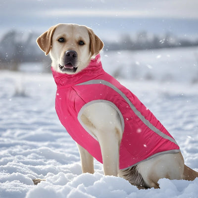 Manteau Chien Bandes Réfléchissantes Doublure Polaire Labrador
