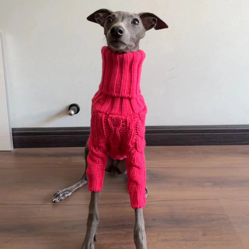 Pull Col Roulé Chaud pour Lévrier Italien Whippet