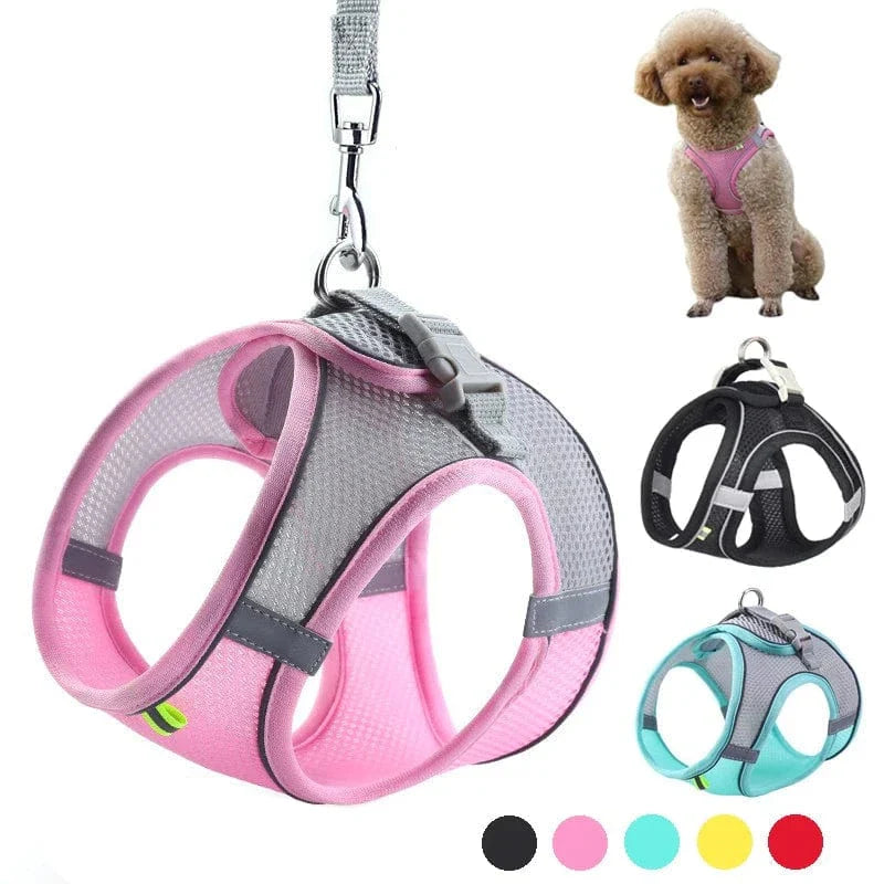 https://cdn.shopify.com/s/files/1/0489/2898/1148/files/Se3e6690b3e7744c494cfadc61bbd41b0Y.webp?v=1742914011