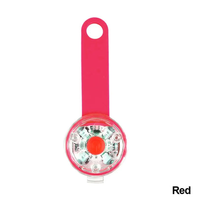 Collier Lumineux LED Securite Rechargeable Chien