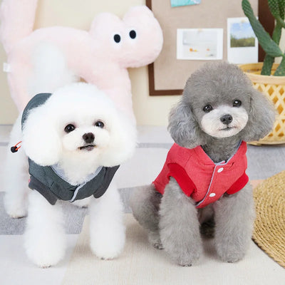 Manteau Coupe-Vent à Capuche pour Chien Petit à Grand