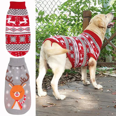 Pull pour Chien Col Roulé Tricot Rayé Rennes