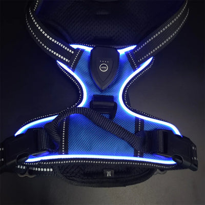 Harnais Lumineux LED Rechargeable Grand Chien