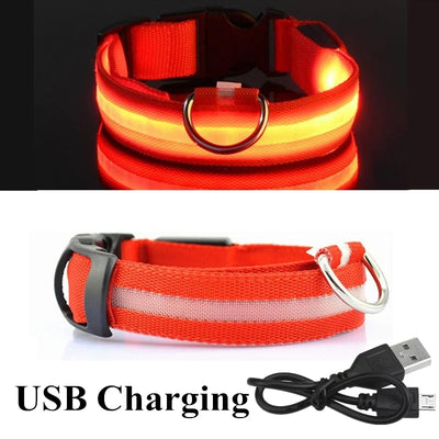 Collier Lumineux LED USB pour Chien