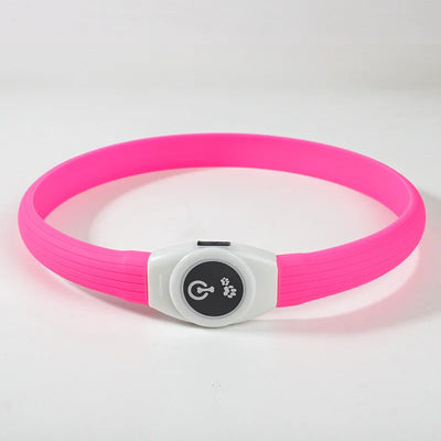 Collier LED Étanche USB pour Chien