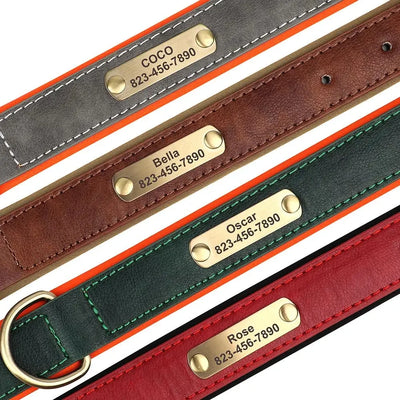 Collier Cuir Personnalisé Gravure Gros Chien