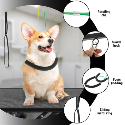 Bras de Table de Toilettage Chien en Fer avec Pince
