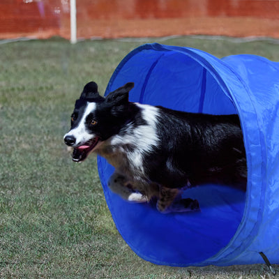 Set d'Obstacles Agility avec Tunnel Pliable pour Chien
