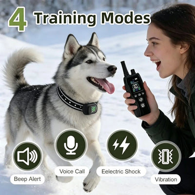 Collier Dressage 4900ft IP67 Rechargeable Gros Chien