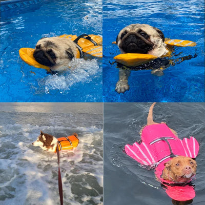 Gilet de Sauvetage pour Chien Réfléchissant avec Mentonnière