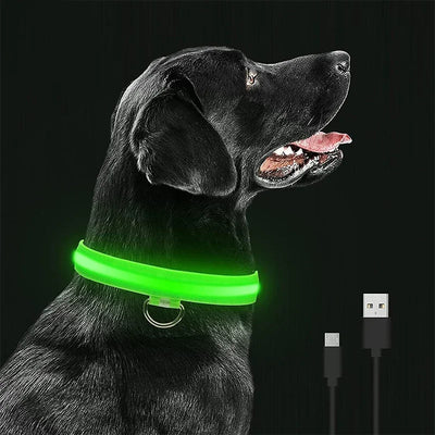 Collier LED Veilleuse Rechargeable pour Chien