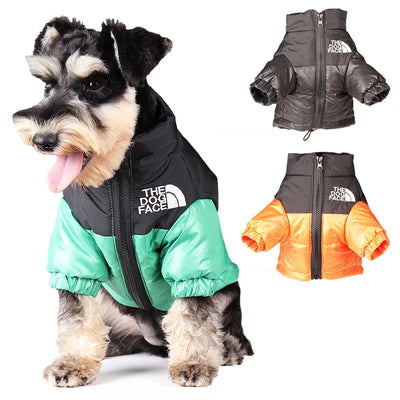 Veste Coupe-Vent Hiver Chaude Gros Chien