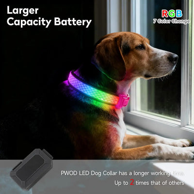 Collier LED Rechargeable Nylon Doux pour Chien