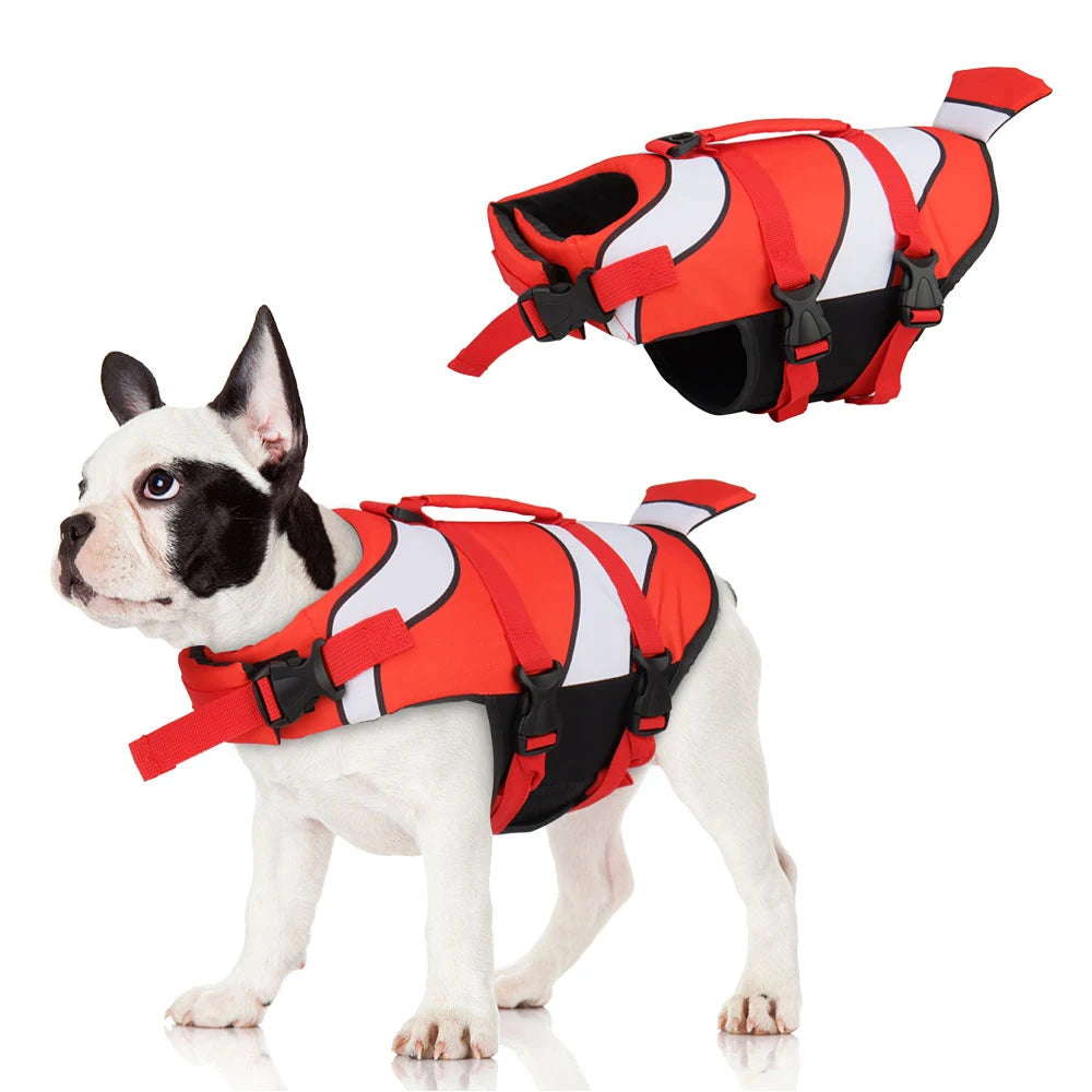 Harnais bouée chien - Gros-Chien.com