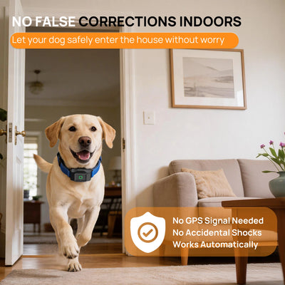 Clôture Électronique Sans Fil pour Chien GPS Zone par Appli