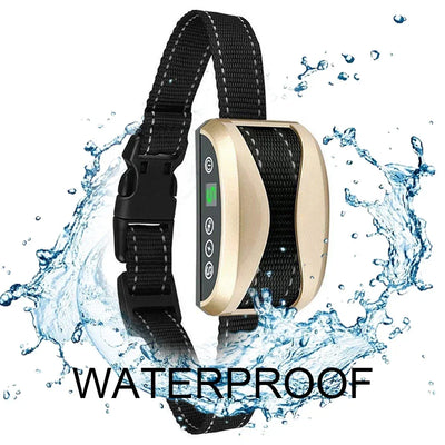 Collier Anti-Aboiement Rechargeable Gros Chien Étanche