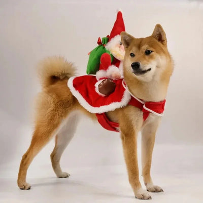 Costume de Père Noël Cavalier pour Chien
