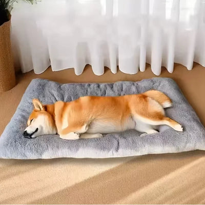 Panier Moelleux XXL Grand Chien
