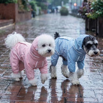 Manteau Imperméable pour Petit Chien Quatre Pattes Réfléchissant