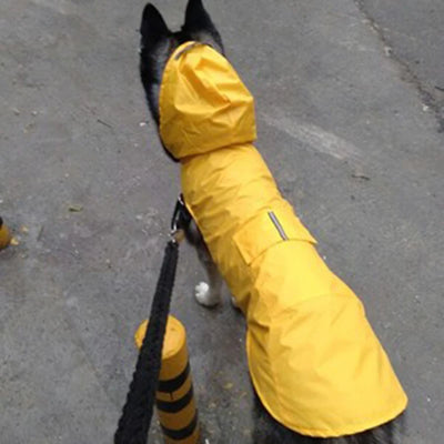 Manteau Imperméable à Capuche Chien Extérieur