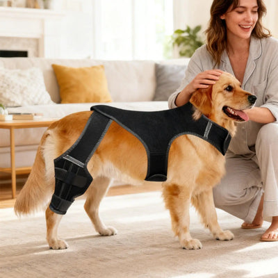 Attelle Chien 4 Stabilisateurs Métalliques Soutien Pattes Arrière