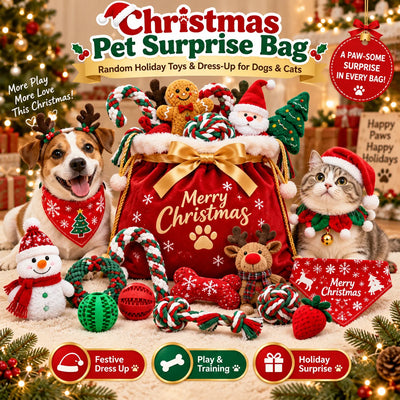 Coffret 8 Jouets de Noel pour Chien